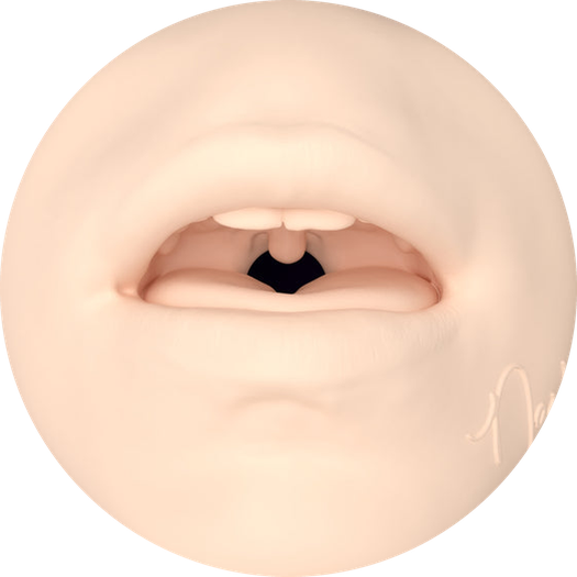 Nash - Masturbator Orifice